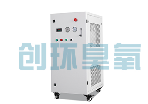 广西石斑鱼养殖水质调控完整指南:臭氧发生器配置与操作步骤
