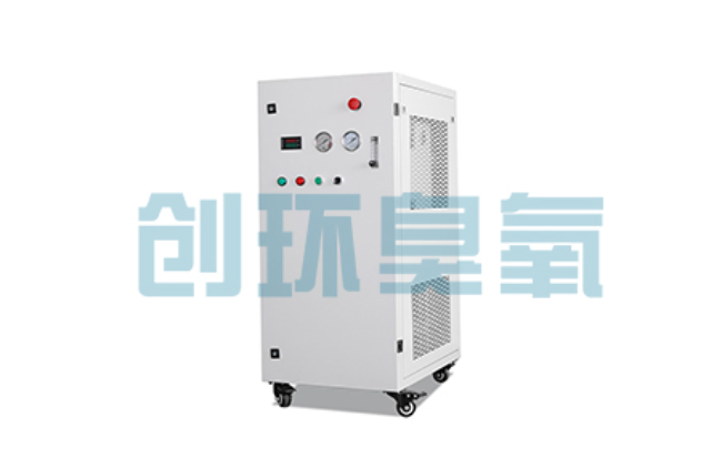 广西比传统换水更高效?臭氧发生器在石斑鱼养殖中的水质净化原理解析
