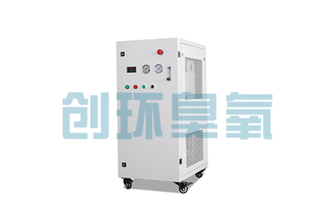 广西比传统换水更高效?臭氧发生器在石斑鱼养殖中的水质净化原理解析